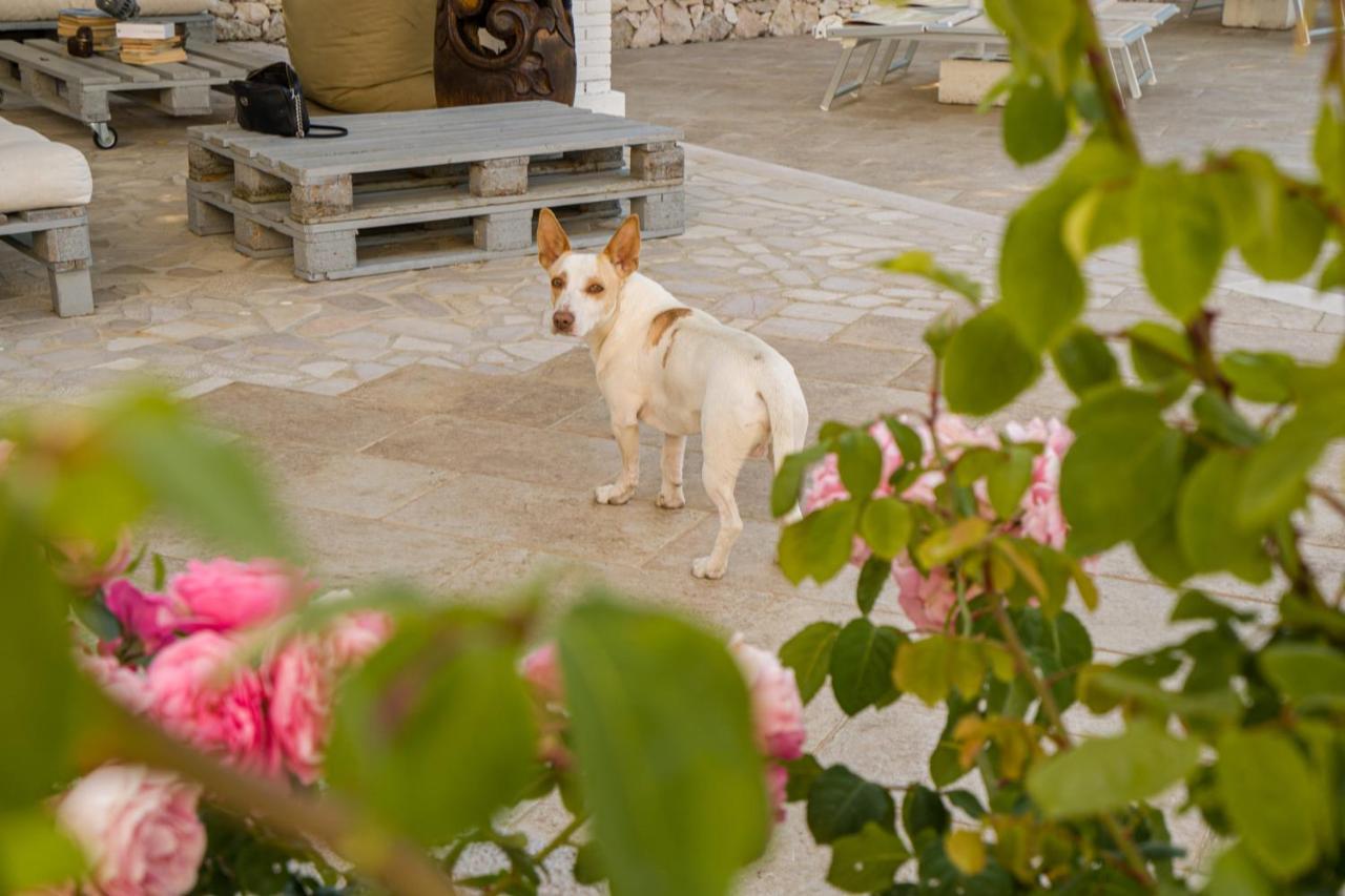 Borgo Canneto Rodi Garganico Ngoại thất bức ảnh